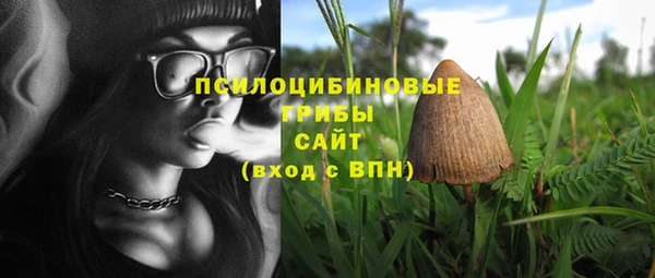 прущие крисы Ладушкин